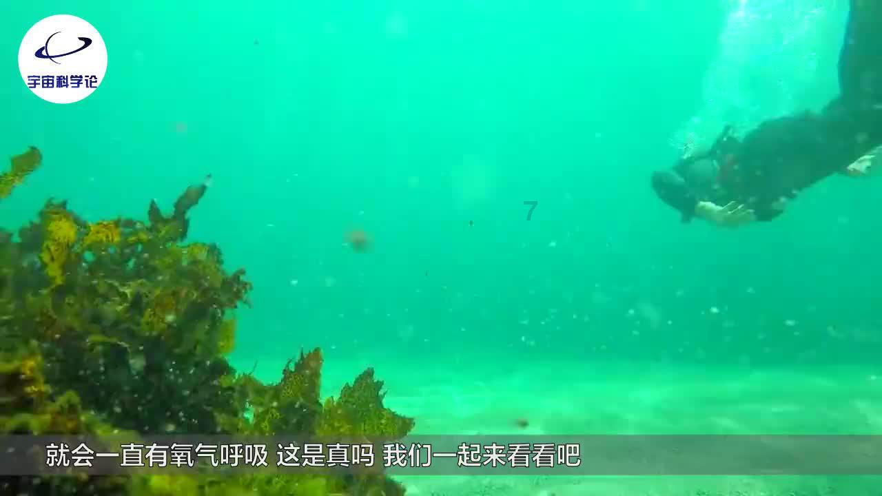 诱捕小浣熊